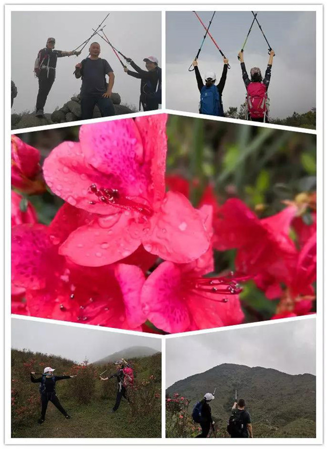 3月29日，云浮新興縣登天麓山&賞杜鵑花