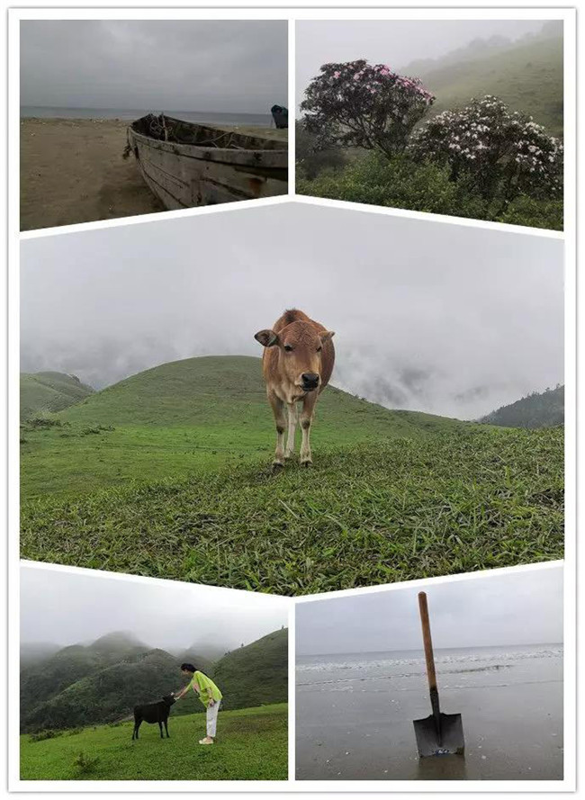 5月1日，陽西藍袍藍看海，陽春雞籠頂登山賞高山杜鵑
