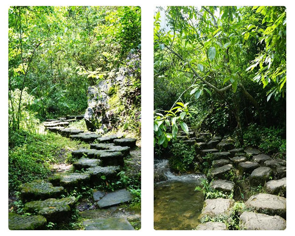 賞華夏大地，游多彩貴州-－2021年廣東博皓快樂(lè)行-3