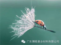 【博皓感悟】成功,要“借力”,不要“盡力” 【博皓感悟】成功,要“借力”,不要“盡力”