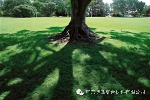 【博皓感悟】欲為大樹，莫與草爭-6